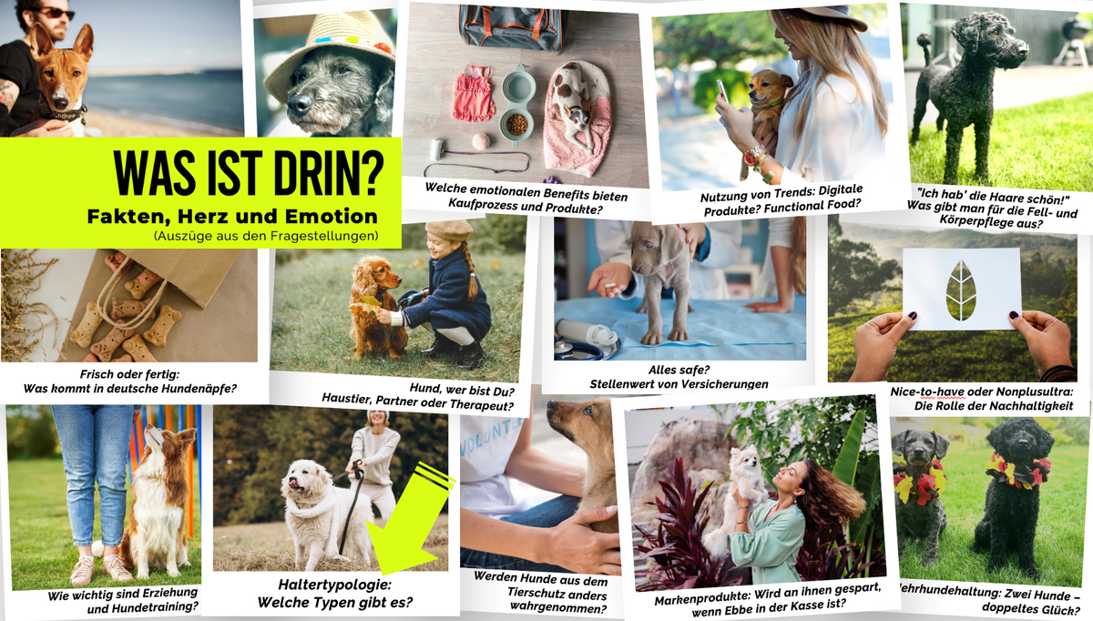 Rudelreport 2025/1 – Inhalte