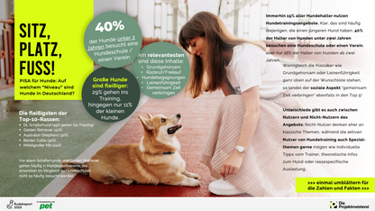 Rudelreport 2025/1 – Hundetraining