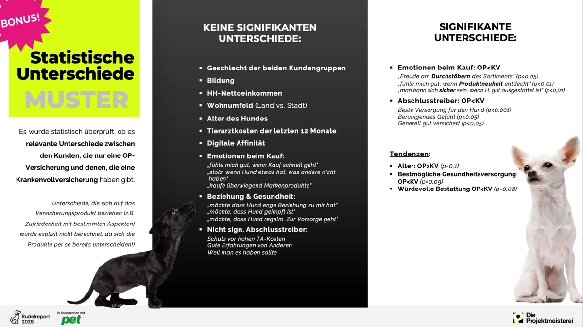 rudelreport 2025 2 – Statistische Unterschiede