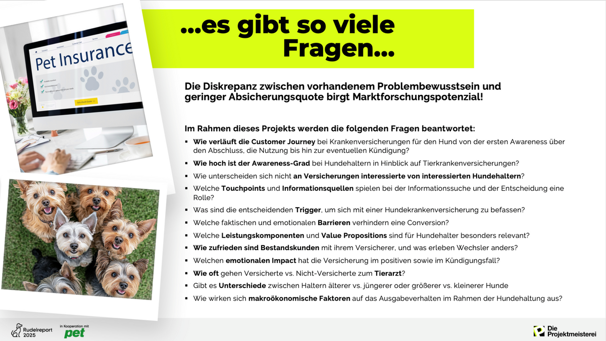 rudelreport 2025 2 – Fragestellungen