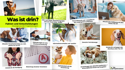 rudelreport 2025 2 – Inhalte