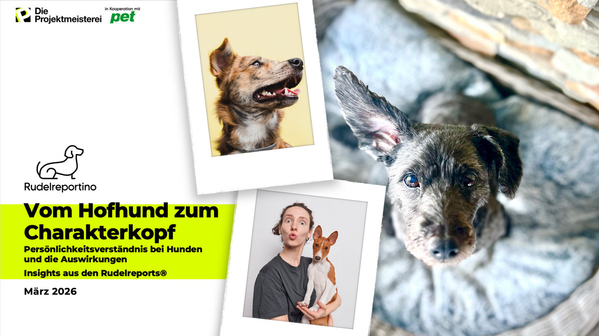 Rudelreportino 3 – Persönlichkeit des Hundes – Cover